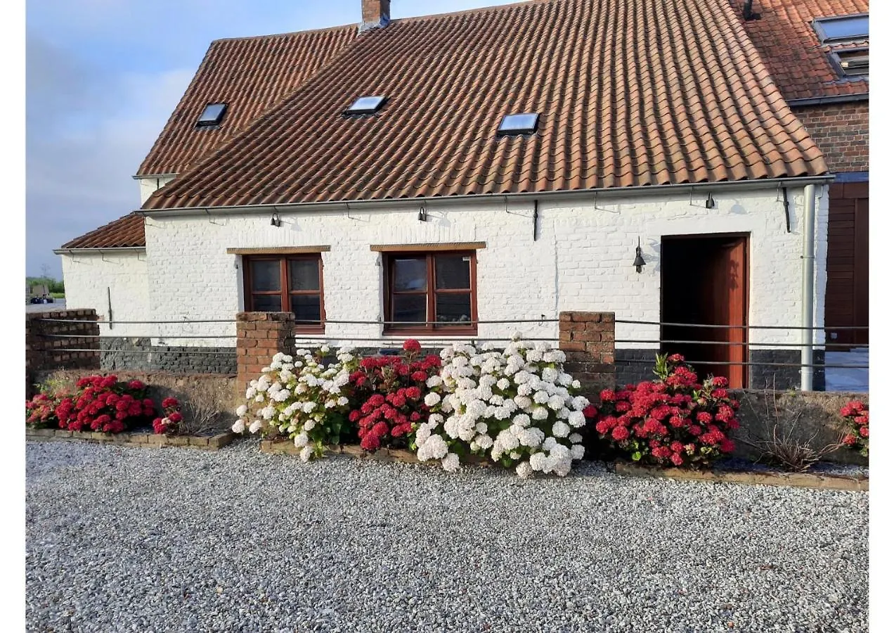 Maenhoudthoeve Met Zwembad En Sauna Villa Oudenburg 0*,  Belgium