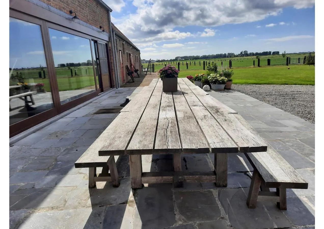 Maenhoudthoeve Met Zwembad En Sauna Villa Oudenburg