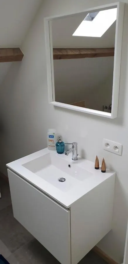 Maenhoudthoeve Met Zwembad En Sauna Villa Oudenburg